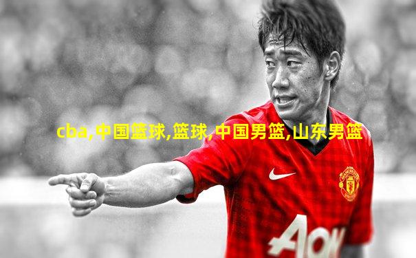 cba,中国篮球,篮球,中国男篮,山东男篮