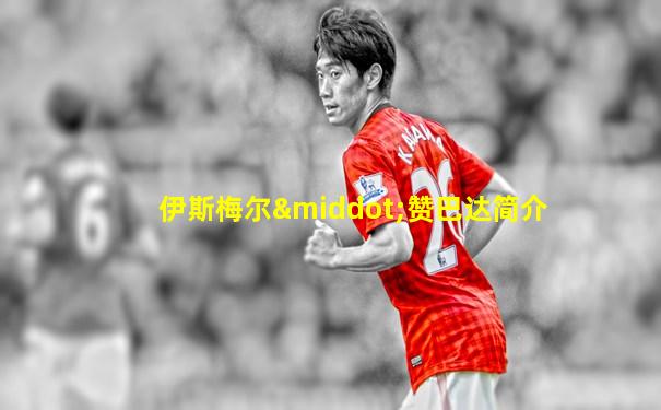 伊斯梅尔·赞巴达简介