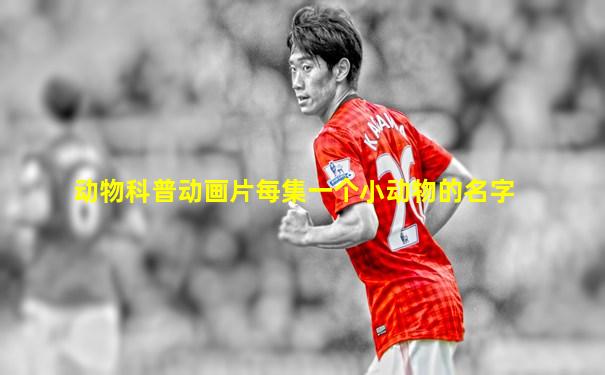 动物科普动画片每集一个小动物的名字