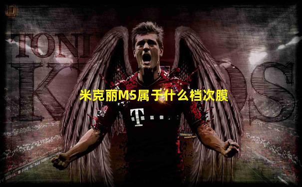米克丽M5属于什么档次膜