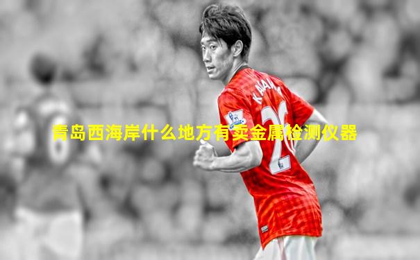 青岛西海岸什么地方有卖金属检测仪器